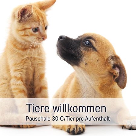 Rosmarin - Kuschelige Fewo - Romantik & Entspannung Im Whirlpool Auf Privater Terrasse, Ruhe & Hund Willkommen - By Ferienwohnenamsee - Uberlingen Dış mekan fotoğraf