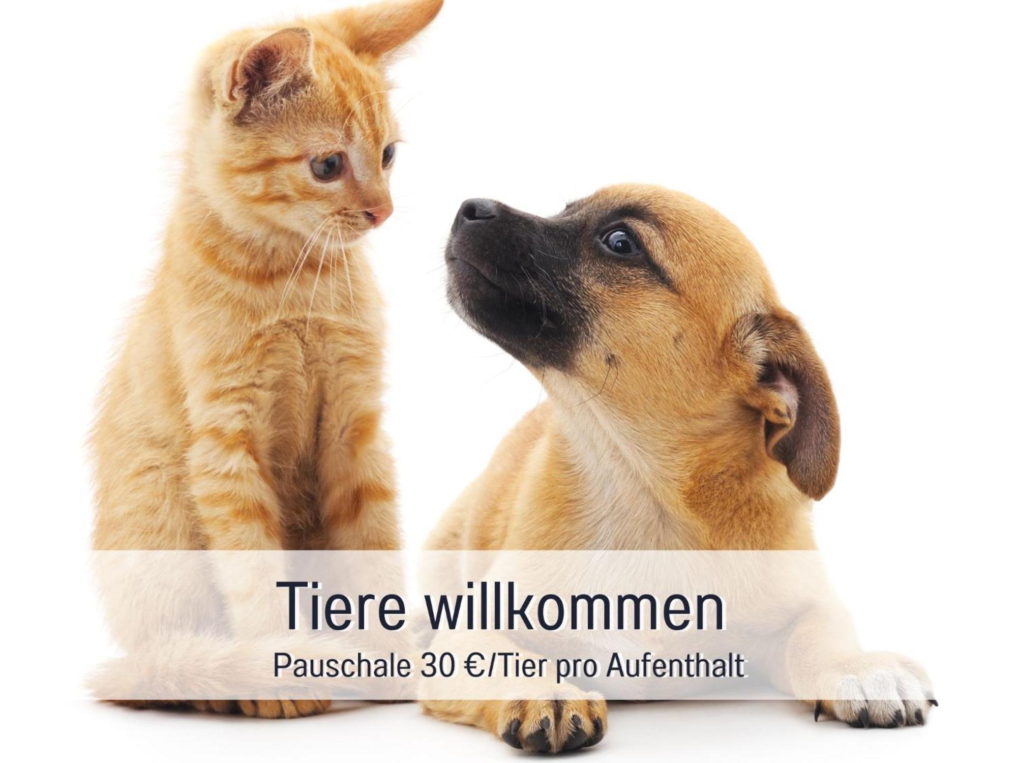 Rosmarin - Kuschelige Fewo - Romantik & Entspannung Im Whirlpool Auf Privater Terrasse, Ruhe & Hund Willkommen - By Ferienwohnenamsee - Uberlingen Dış mekan fotoğraf